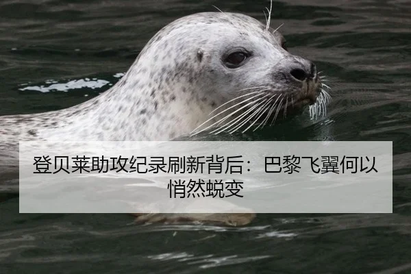 登贝莱助攻纪录刷新背后：巴黎飞翼何以悄然蜕变